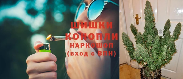 PSILOCYBIN Вязники