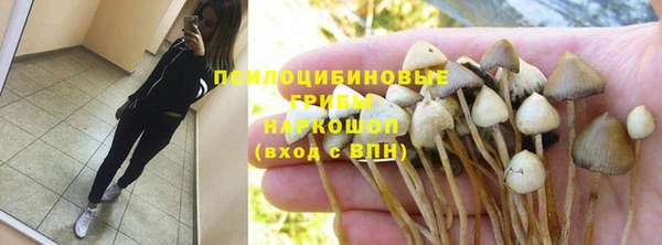 крисы Нязепетровск