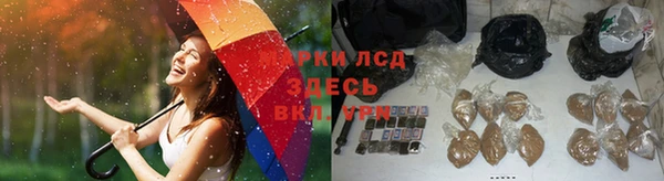 крисы Нязепетровск