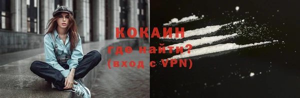 прущие грибы Нягань