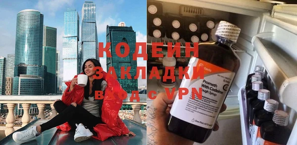 прущие грибы Нягань