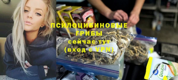 прущие грибы Нягань