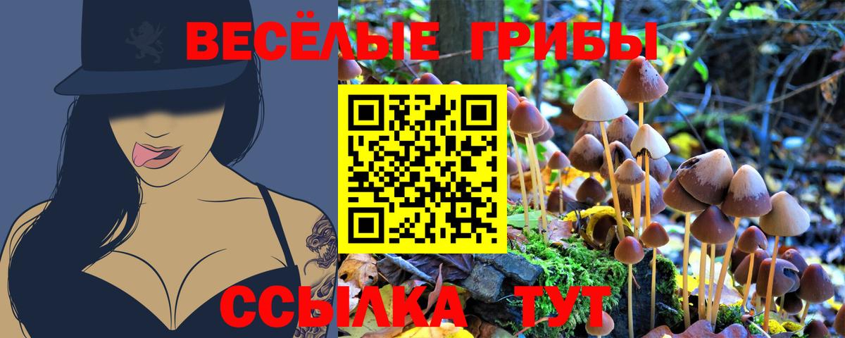 Морозовск  Псилоцибиновые грибы ЛСД  Галлюциногенные грибы GOLDEN TEACHER  как найти закладки  Вход с VPN 