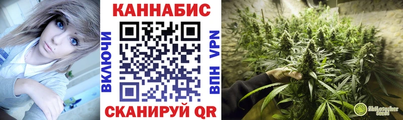 Бошки марихуана сатива  Морозовск 